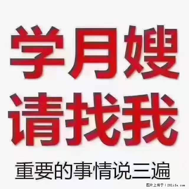 为什么要学习月嫂,育婴师? - 新手上路 - 宣城生活社区 - 宣城28生活网 xuancheng.28life.com