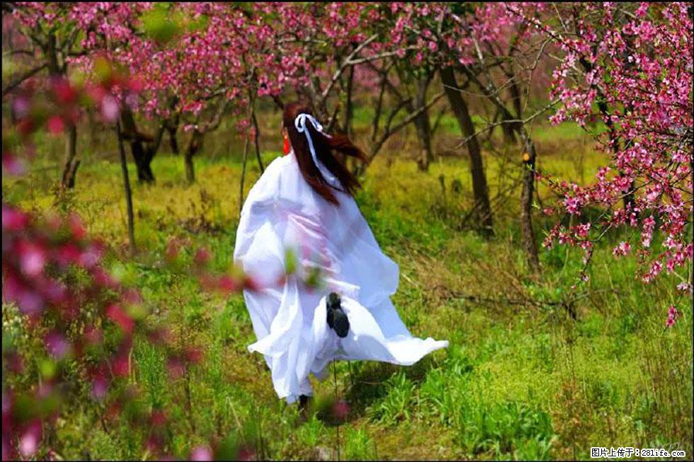 【春天,广西桂林灌阳县向您发出邀请!】官庄村有个醉美的桃花园 - 游山玩水 - 宣城生活社区 - 宣城28生活网 xuancheng.28life.com