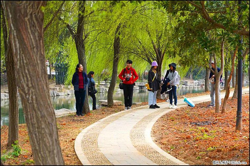 【春天,广西桂林灌阳县向您发出邀请!】江口老街又逢春 - 游山玩水 - 宣城生活社区 - 宣城28生活网 xuancheng.28life.com