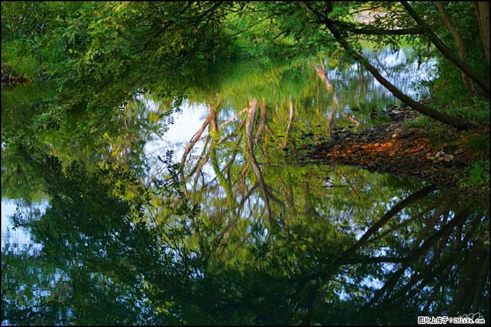 【春天,广西桂林灌阳县向您发出邀请!】熊家寨湿地公园 - 游山玩水 - 宣城生活社区 - 宣城28生活网 xuancheng.28life.com