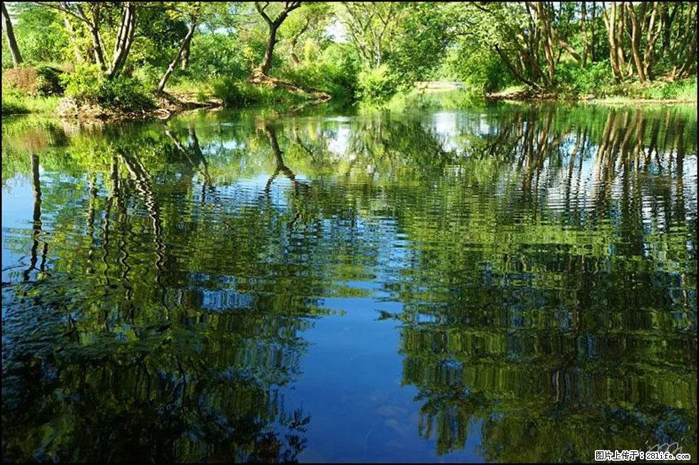 【春天,广西桂林灌阳县向您发出邀请!】熊家寨湿地公园 - 游山玩水 - 宣城生活社区 - 宣城28生活网 xuancheng.28life.com