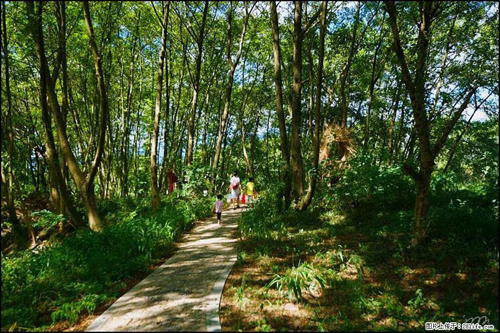 【春天,广西桂林灌阳县向您发出邀请!】熊家寨湿地公园 - 游山玩水 - 宣城生活社区 - 宣城28生活网 xuancheng.28life.com