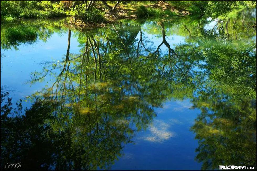 【春天,广西桂林灌阳县向您发出邀请!】熊家寨湿地公园 - 游山玩水 - 宣城生活社区 - 宣城28生活网 xuancheng.28life.com