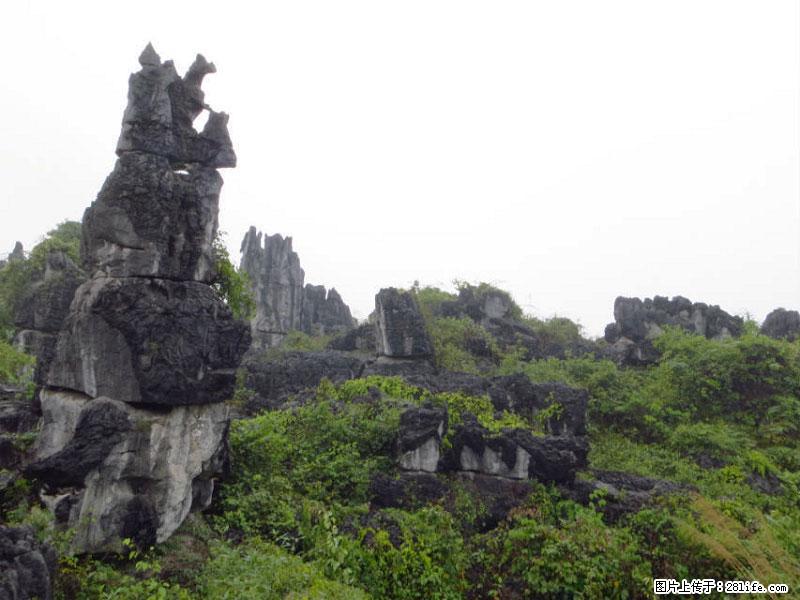 桂林旅游名城景点：灌阳文市石林 - 游山玩水 - 宣城生活社区 - 宣城28生活网 xuancheng.28life.com