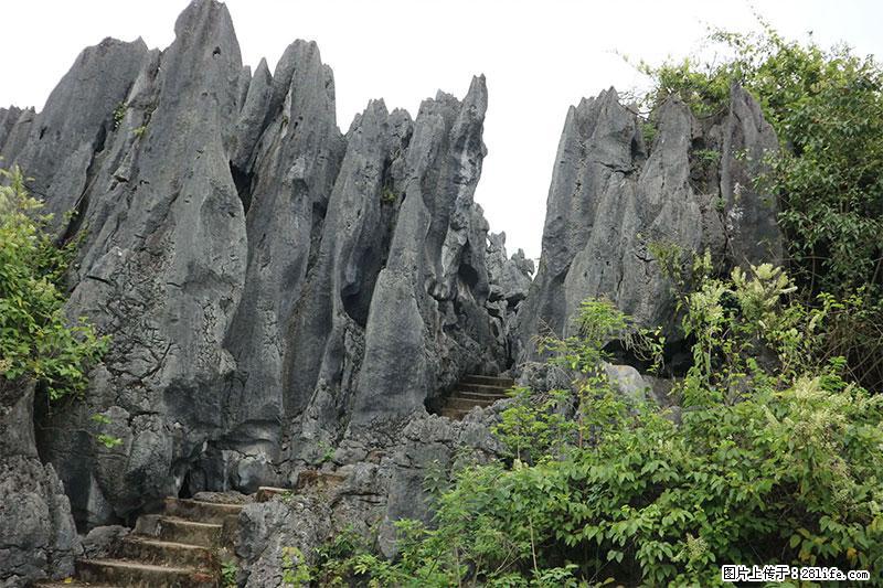 桂林旅游名城景点：灌阳文市石林 - 游山玩水 - 宣城生活社区 - 宣城28生活网 xuancheng.28life.com