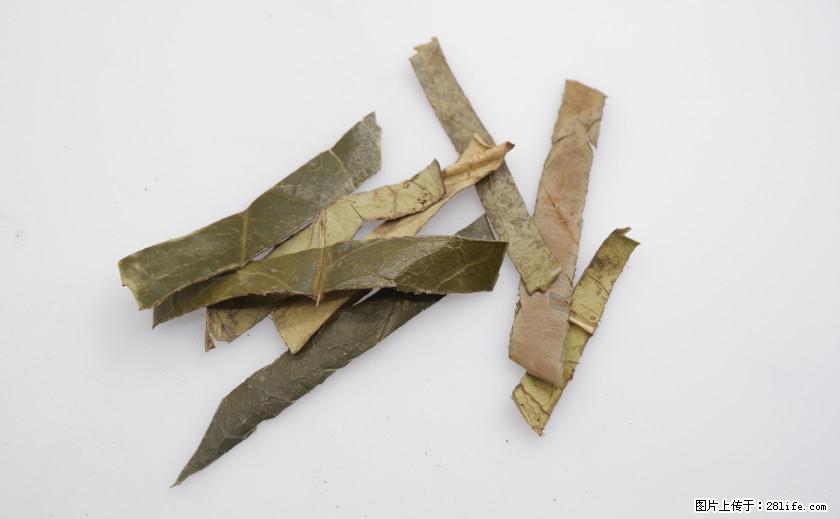 苦丁茶有哪些功效和作用 - 生活百科 - 宣城生活社区 - 宣城28生活网 xuancheng.28life.com