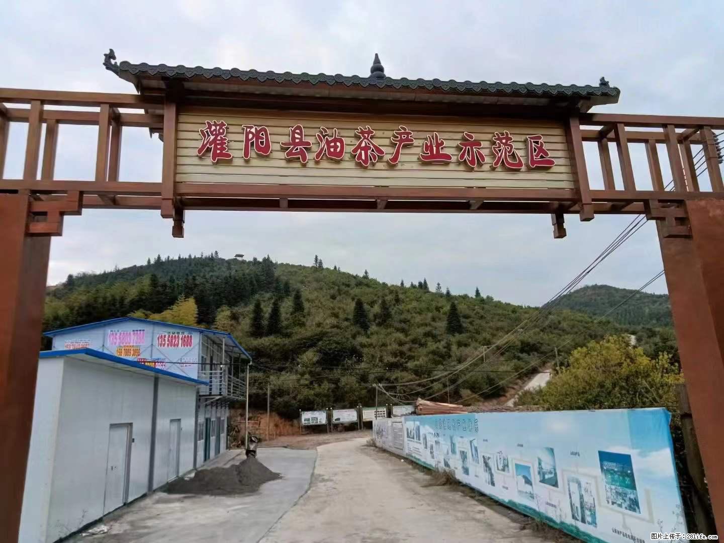 【灌阳县油茶产业示范区】一个有着充实的精神生活的人,对待身外之物自会有一种淡泊的态度 - 美食天地 - 宣城生活社区 - 宣城28生活网 xuancheng.28life.com