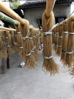 【灌阳正宗红薯粉】美女家里自己做的,干净卫生,假一赔十,价格合理,抢购电话:13737312895 - 宣城28生活网 xuancheng.28life.com