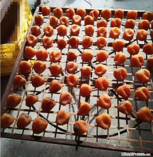 广西桂林平乐桥亭【柿饼之乡】2025年纯手工制作、无任何添加剂的第一批柿饼准备上市了，欢迎联系订购！ - 宣城28生活网 xuancheng.28life.com