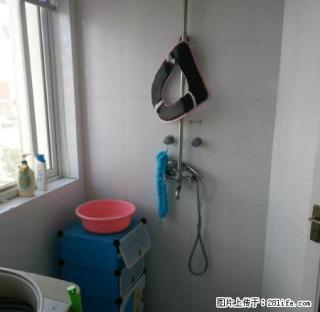 桃源名都4楼单身公寓精装1.5万一年 - 宣城28生活网 xuancheng.28life.com