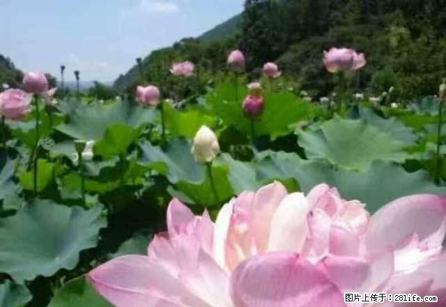 九州东苑3室2厅5楼 中装设施齐全1200月 - 房屋出租 - 房屋租售 - 宣城分类信息 - 宣城28生活网 xuancheng.28life.com