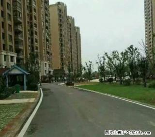 舟基金色家园 17楼 2室2厅 毛坯 床 热水器 800月 - 宣城28生活网 xuancheng.28life.com