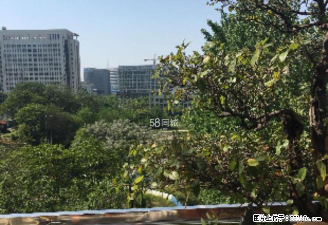 天都花园(景德路) 南北通透 采光好   环境优美 交 - 房屋出租 - 房屋租售 - 宣城分类信息 - 宣城28生活网 xuancheng.28life.com