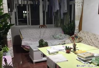 西林工行宿舍 两室两厅 精装齐全 1400 - 宣城28生活网 xuancheng.28life.com