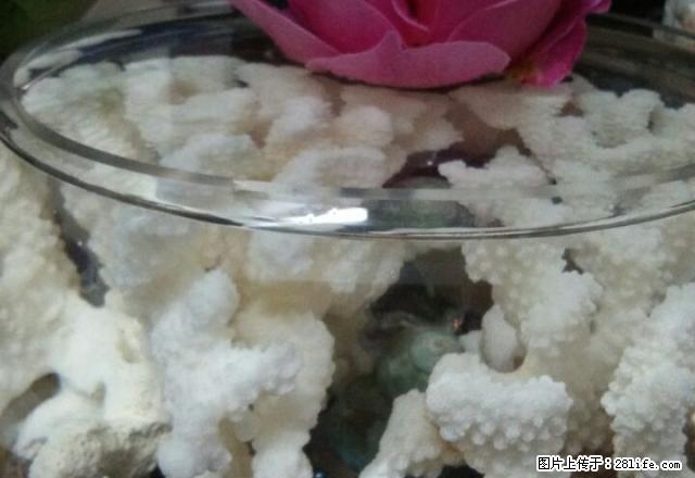 八佰伴旁边3楼三室一厅精装设施全1400元/月三小二幼旁边 - 房屋出租 - 房屋租售 - 宣城分类信息 - 宣城28生活网 xuancheng.28life.com