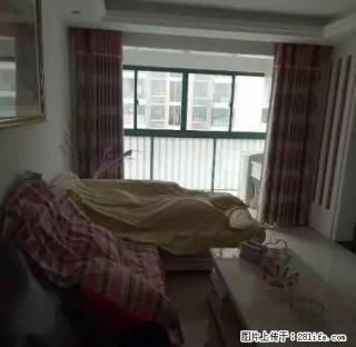 我还是很喜欢你，像相思藏在树底，花落是你，花开也是你。 - 宣城28生活网 xuancheng.28life.com