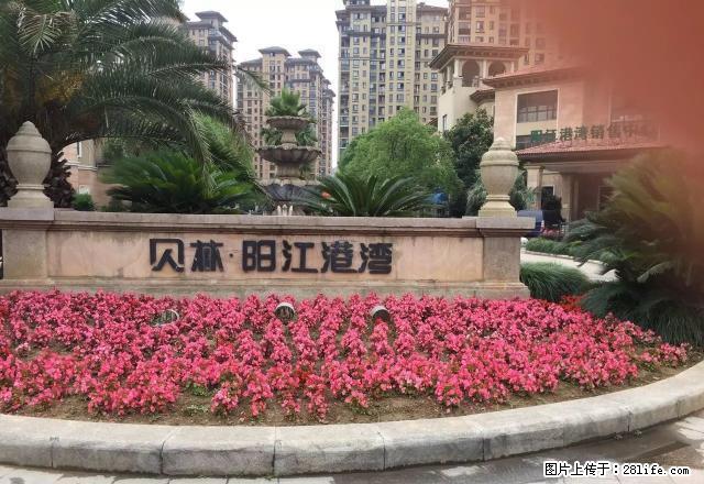 东门高档小区,舍和陪读,上班族,紧邻新医院,新房出租 - 房屋出租 - 房屋租售 - 宣城分类信息 - 宣城28生活网 xuancheng.28life.com