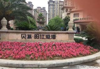 东门高档小区,舍和陪读,上班族,紧邻新医院,新房出租 - 宣城28生活网 xuancheng.28life.com