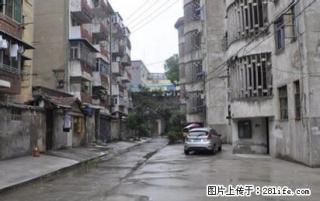 (单间出租)三小旁西林飞彩新村 1楼有院子 - 宣城28生活网 xuancheng.28life.com