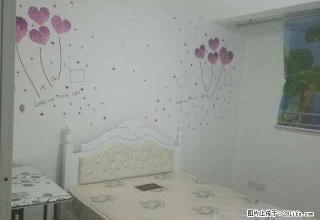 创业中心 标准单身公寓 大窗户有阳台 实拍图 拎包住可短租 - 宣城28生活网 xuancheng.28life.com