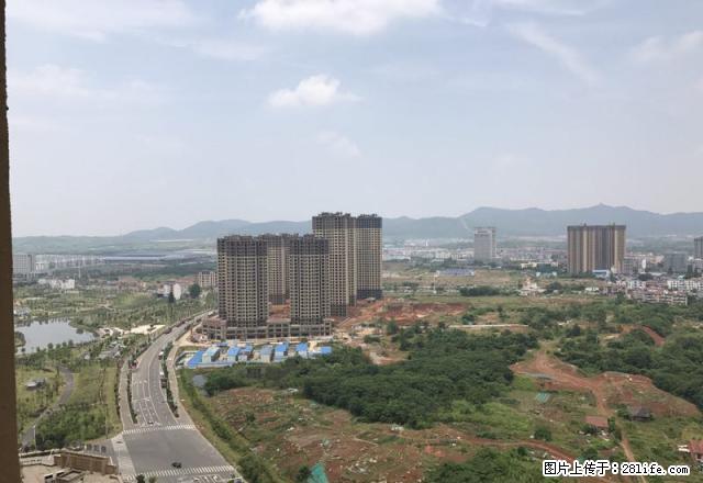 东门青年路对面金鄂商都 多层两室 老式装修 家电齐全 - 房屋出租 - 房屋租售 - 宣城分类信息 - 宣城28生活网 xuancheng.28life.com