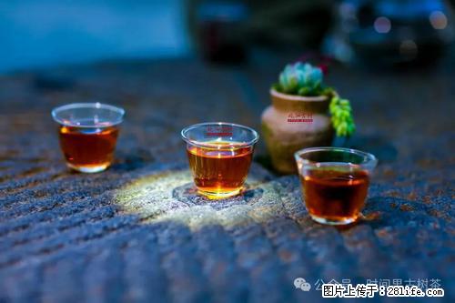 时间果百年古树2025年春红茶 - 购物交流 - 宣城生活社区 - 宣城28生活网 xuancheng.28life.com