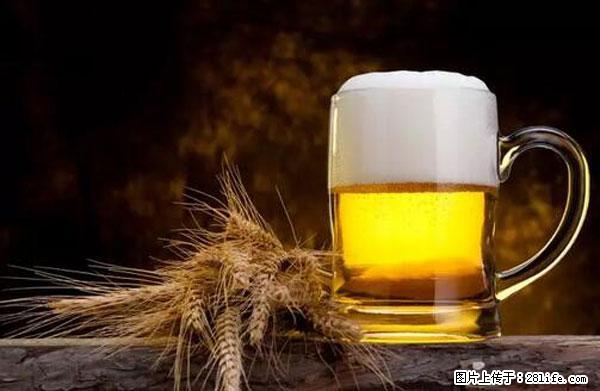 原来它这么毒，然而竟然满大街都是.... - 宣城生活资讯 - 宣城28生活网 xuancheng.28life.com