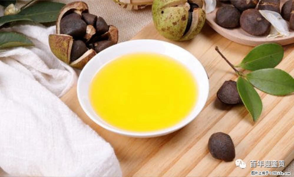 揭秘茶油的5大核心营养成分！被称为人体健康的“守护盾”！ - 宣城生活资讯 - 宣城28生活网 xuancheng.28life.com