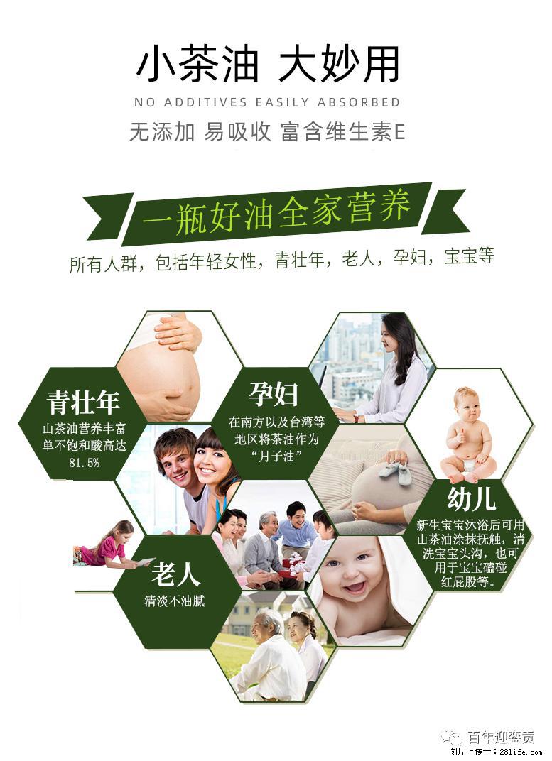 世界没有真相,只有认知,最好的食用油是中国的山茶油! - 宣城生活资讯 - 宣城28生活网 xuancheng.28life.com
