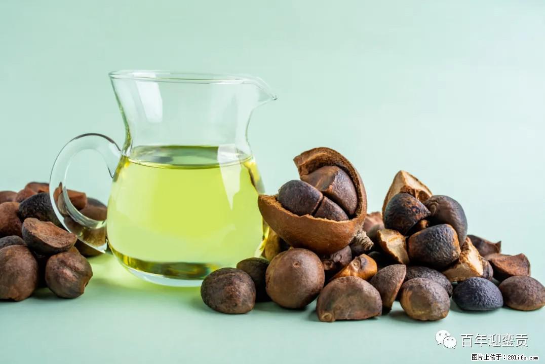 世界没有真相，只有认知，最好的食用油是中国的山茶油！ - 宣城生活资讯 - 宣城28生活网 xuancheng.28life.com