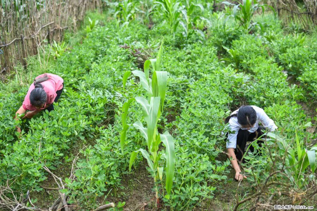 全网追的“扁担女孩”，找了一份暑假工，时薪12元 - 宣城生活资讯 - 宣城28生活网 xuancheng.28life.com