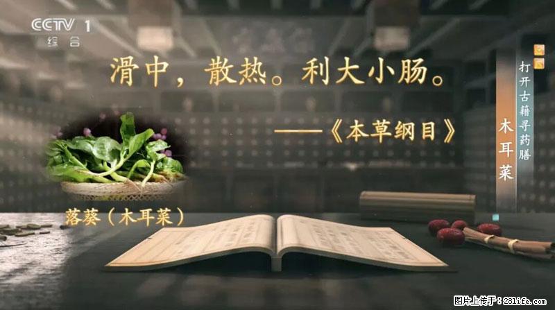 比牛奶补钙还厉害!凉血解毒、稳血糖...这菜冬天必吃,很多人却当草 - 宣城生活资讯 - 宣城28生活网 xuancheng.28life.com