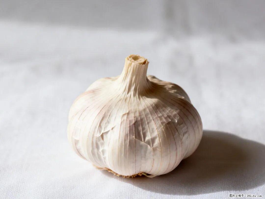 关于大蒜，除了“天然抗生素”，这4个谣言更该警惕! - 宣城生活资讯 - 宣城28生活网 xuancheng.28life.com