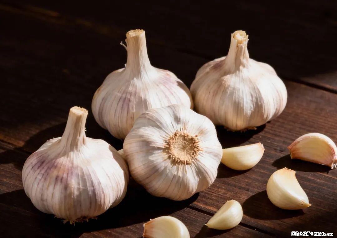 关于大蒜，除了“天然抗生素”，这4个谣言更该警惕! - 宣城生活资讯 - 宣城28生活网 xuancheng.28life.com